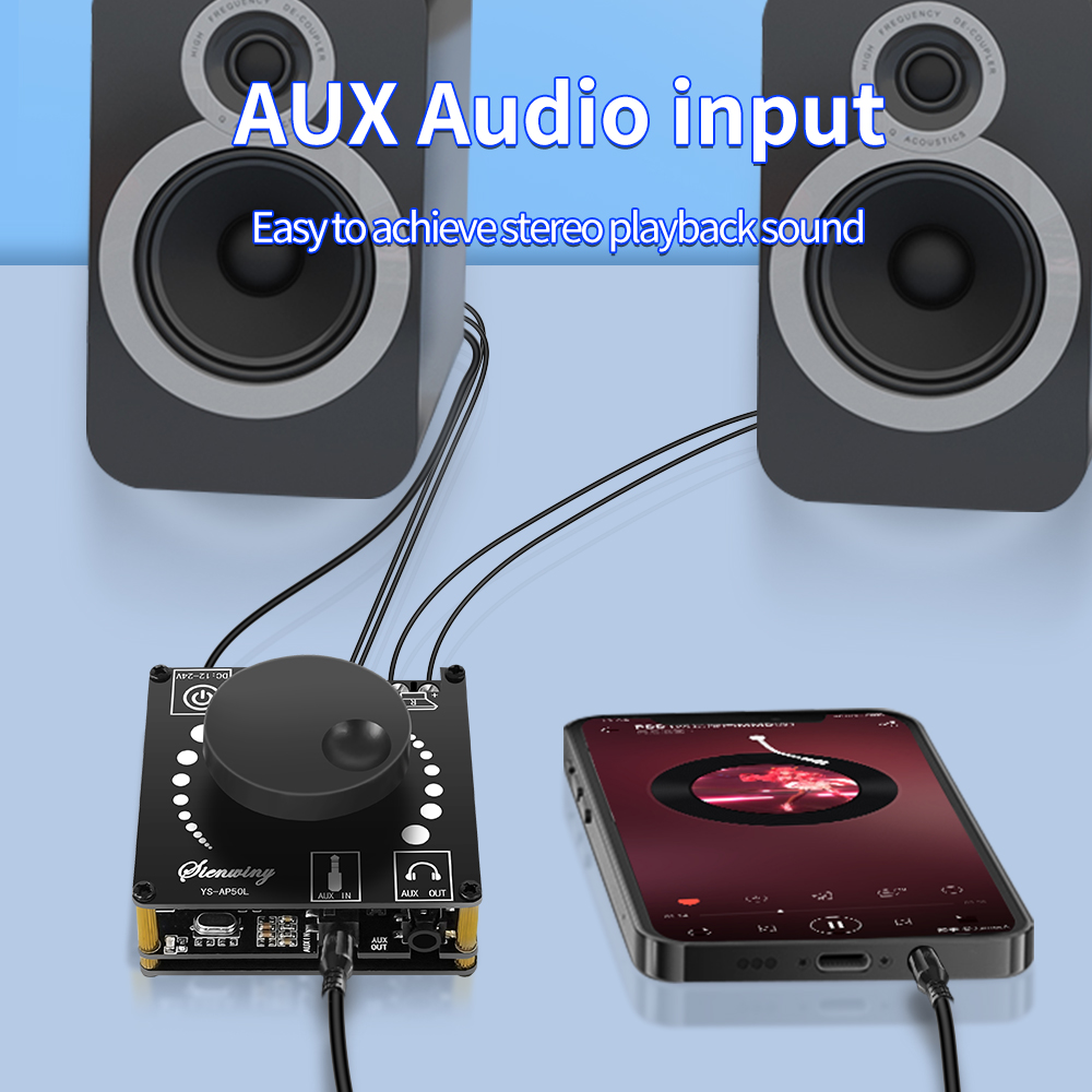 DIY Audio Modificatie Module 5 - Diy Audio Electronics Kit recensie en prijs